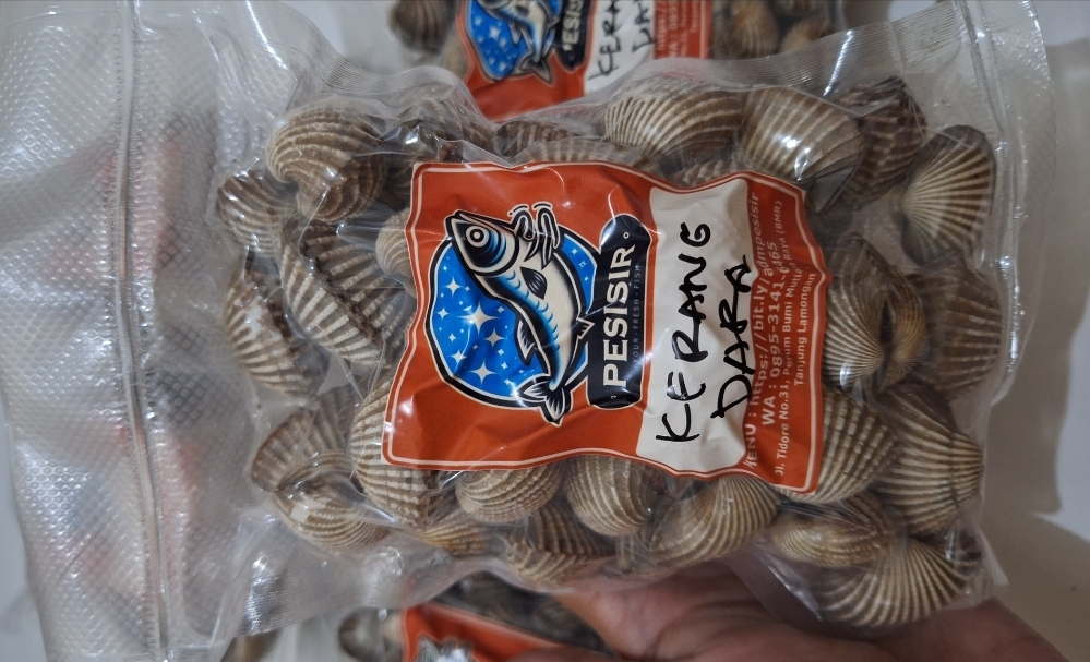 Kerang Dara